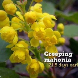 Meet your Posher, Devi